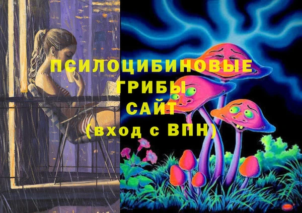 бошки Алексин