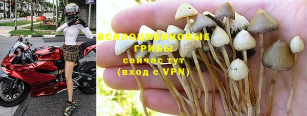 МДМА Алексеевка