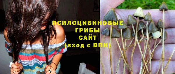 бошки Алексин