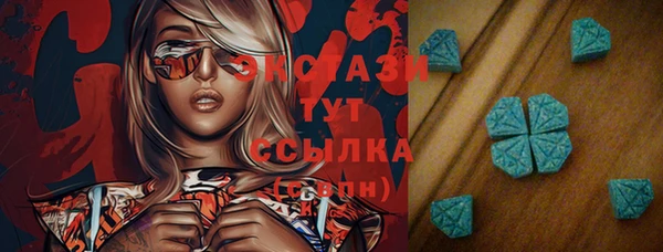 ECSTASY Алзамай