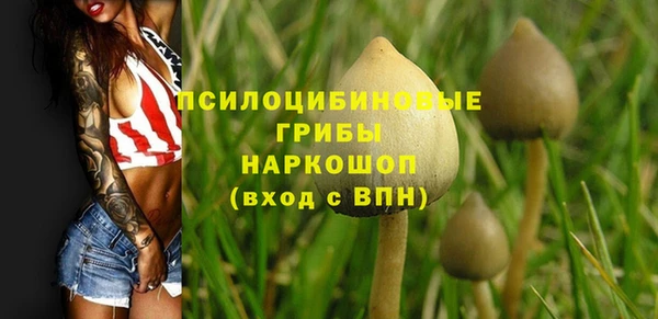 ECSTASY Алзамай