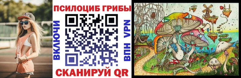 Псилоцибиновые грибы Cubensis  Сатка 