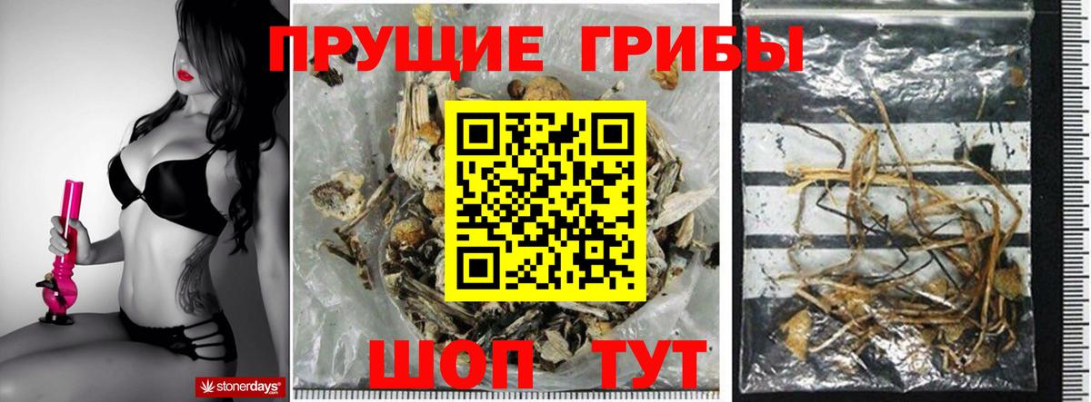 Псилоцибиновые грибы ЛСД Сатка