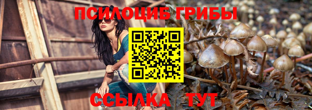 Галлюциногенные грибы мицелий  Псилоцибиновые грибы мицелий  Сатка  Вход с VPN 